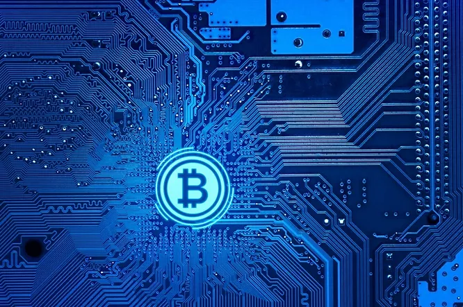Investidores brasileiros não deixam criptomoedas, aponta relatório